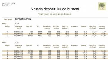 Situatia depozitului de busteni (SUMAR)